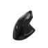 HAVIT MS550GT Vertical Wireless Ergonomic Mouse